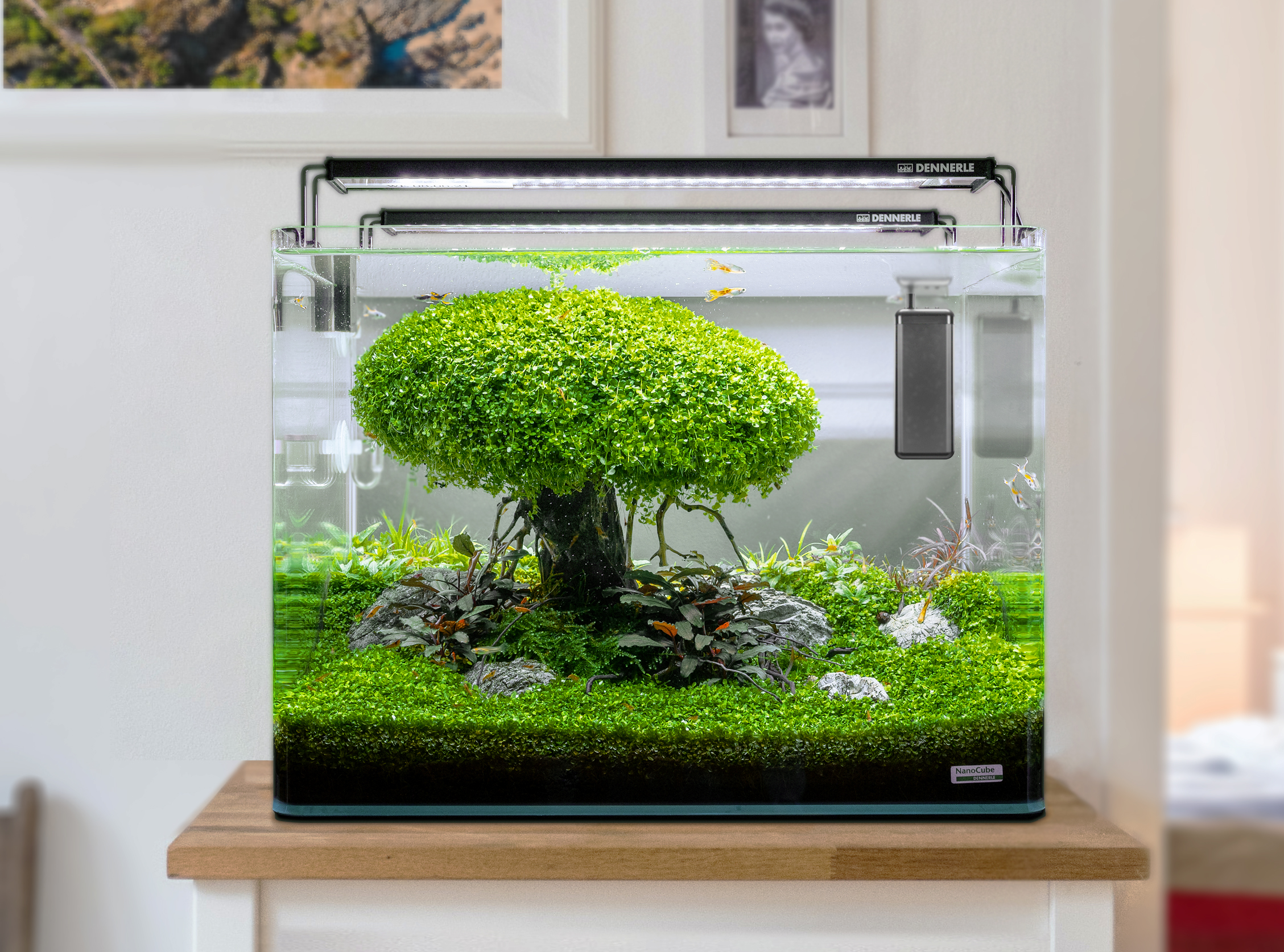 Dennerle Nano Heater Constant - 35Watt - Image 2