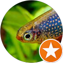 Chris M. profile picture